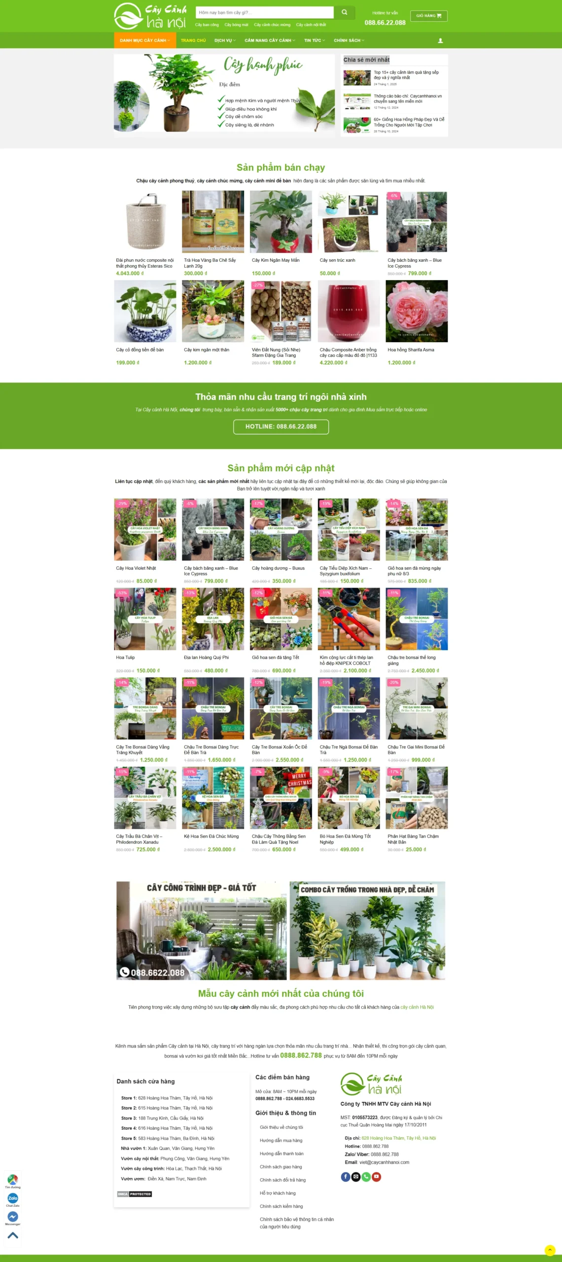 screencapture-caycanhhanoi-net-vn-2025-04-08-11_16_04